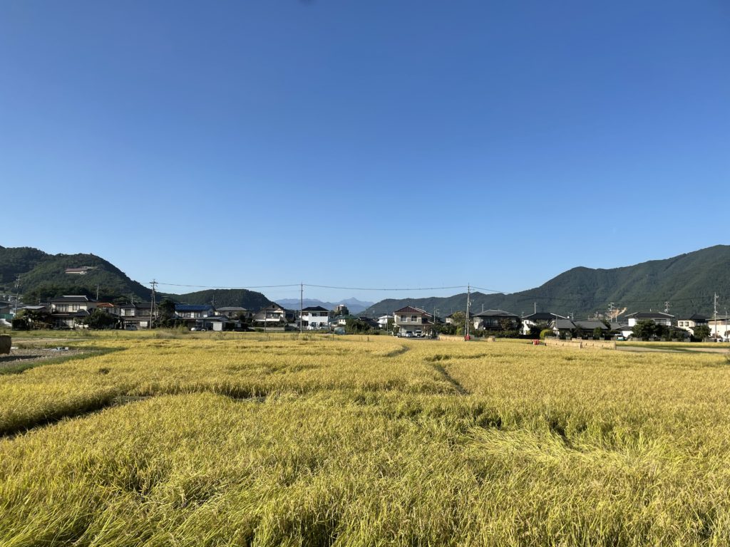 【千曲市上山田】１０月２３日～２４日　お披露目会開催！