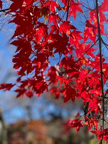 【諏訪市】T様邸  地鎮祭 ☀
