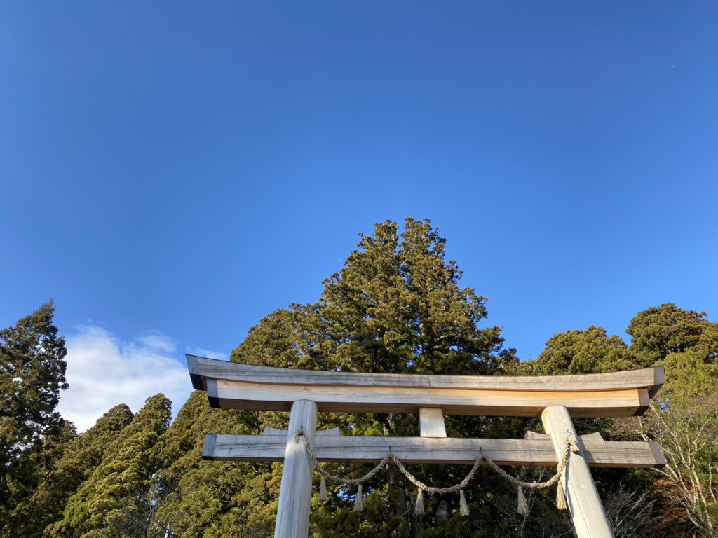 【佐久市】O様邸の木工完了立会（１２月お披露目会開催！）