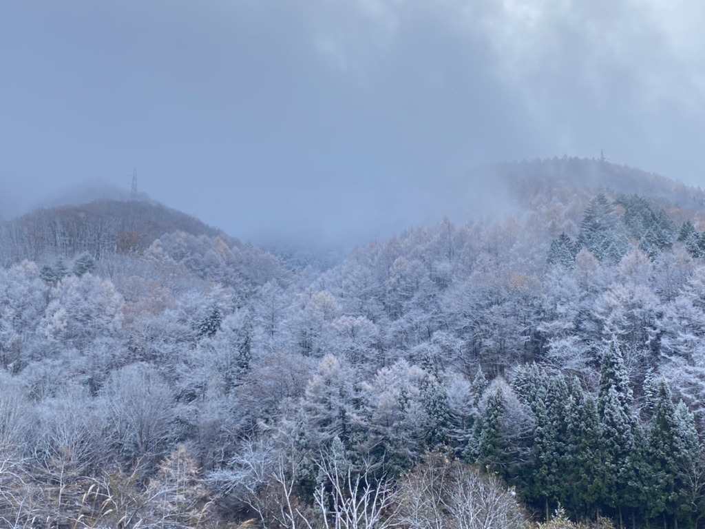 【上田市】ついに…降りましたね…❄