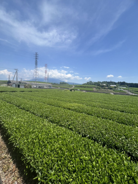 【千曲市】お披露目会開催！